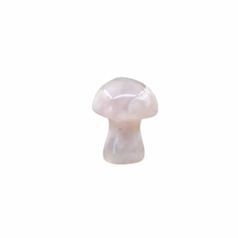 Mini houbička Růženín